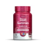 Ocean Gummies Sambucus KIDS N60 (jeleuri masticabile)
